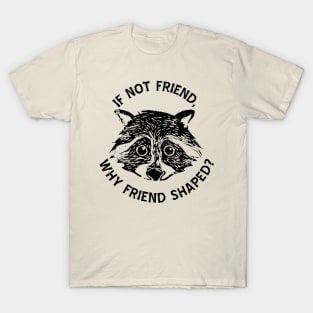 If not friend, why friend shaped? T-Shirt